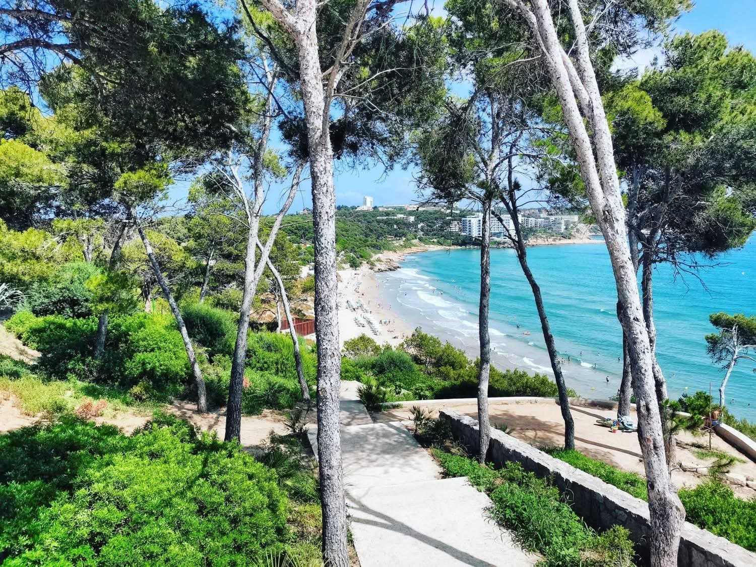 Apartbeach Los Juncos Residencial Piscinas Y Petanca ラ・ピネーダ エクステリア 写真